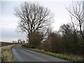 Winter trees alongside Whitecote Lane in LS25 5AL