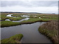 Burton Marsh in CH64 0TG