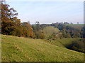 Coombe Hill lower slopes in GL12 7ND