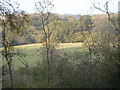 Hanging Wood Bottom and Manwood Copse in SP5 5QF