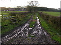 Muddy track to Hacking Hall in BB6 8FA