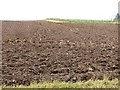 Ploughed field, Haremoss in AB53 8HP