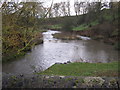 The River Skerne east of Barmpton Lane Bridge in DL1 3HG