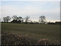 Farmland near Headlam with Hillhouse Hill at rear in Headlam