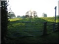 Field gate and public footpath in LL12 9TR