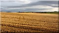 Stubble, Knockenbaird in AB52 6TA