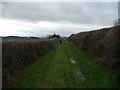 A green lane leading towards Forge Farm near Pontrobert in SY22 6HX