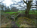 Approaching a footbridge over the River Rother west of Durford Mill in GU31 5PE