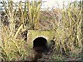 Culvert under the A60 in NG18 4TJ