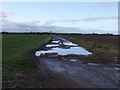 Muddy Track at end of Fifth Drove in PE11 4JY