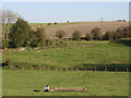 Farmland, Collingbourne Ducis in SN8 3DU