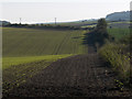 Farmland, Collingbourne Ducis in SN8 3FX