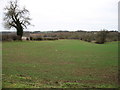 Fields above the Windrush valley in OX18 4TU