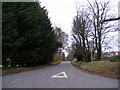 Lady Lane, Hainford in Newton St Faith