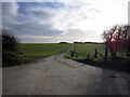 A bridleway towards Cocked Hat Plantation in LN7 6DA