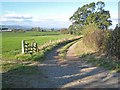 Field and farm road near Thirn in Thirn