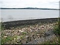 Beach, Grangepans in EH51 9NR