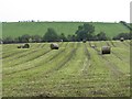 Silage bales in G65 9LJ