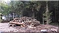 Log stack in DD8 3TT