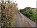Ash Road looking east in EX33 2LN