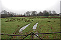 Sodden field off Newick Lane in TN21 8PU