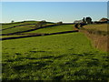 Towards Ley Cross from Coombe Cross in PL21 0ST