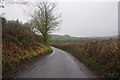 Mid Devon : Country Road in EX16 9DF