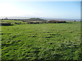 Footpath across fields south of Gwaenysgor in LL18 6EW