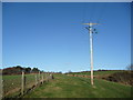 Field edge footpath north of Dyserth in LL18 6BS