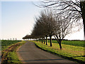 Country lane past Raynham Hall in NR21 7EH