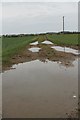 Puddle on Track near Holmewood Farm in PE22 7PL