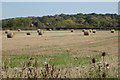 Round straw bales near Cherry Pool Farm in CV35 8PP