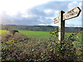 Footpath crossing the Golden Valley in HR2 0SL