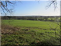 Farmland near St. Mary's Churchyard in RG27 8ZQ