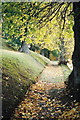 Autumnal path, Tomnahurich Cemetery in IV3 5BD