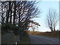 A381 looking north from gateway to Dundridge House in TQ9 7PP