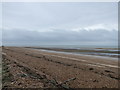 Beach at mouth of River Colne, Colne Point Nature Reserve in CO16 8EX