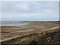 Sandy Point at Colne Point Nature Reserve in CO16 8JS
