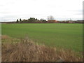 View towards Greenfields Farm in DN10 4FD