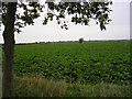Lincolnshire field in LN2 2ND