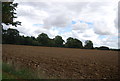 Farmland, edge of Ipswich in IP1 6PY