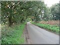 The Road To Elsing in NR20 3EJ