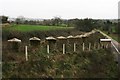 Tank defences at Donyatt Halt in TA19 0RJ