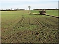 Fields sloping up from the edge of the fen in CB25 0HZ