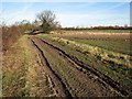 Barston Drove, nearing Reach in CB25 0JA