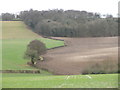 Fields and woods seen from a path leading to Lodge Hill in HP14 4JQ