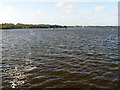 Barton Broad with fish enclosure in NR12 8BL