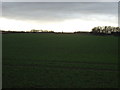 Farmland off the A63 in LS25 4BD