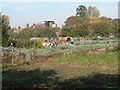 Allotments In East Dereham in NR20 3GL