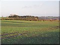 Farmland and woodland northwest of Unthank in DH8 9LR